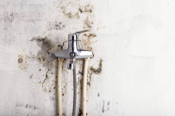 Best Mold Testing  in New Britain, CT