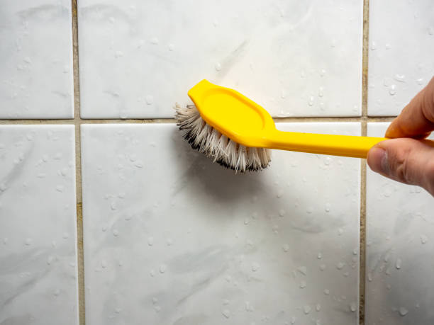 Professional Mold Removal in New Britain, CT