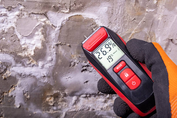 Best Mold Remediation  in New Britain, CT