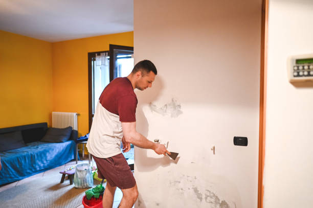 Best Mold Testing  in New Britain, CT